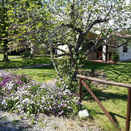 Agriturismo Sicomoro Villa Capalbio Buitenkant foto