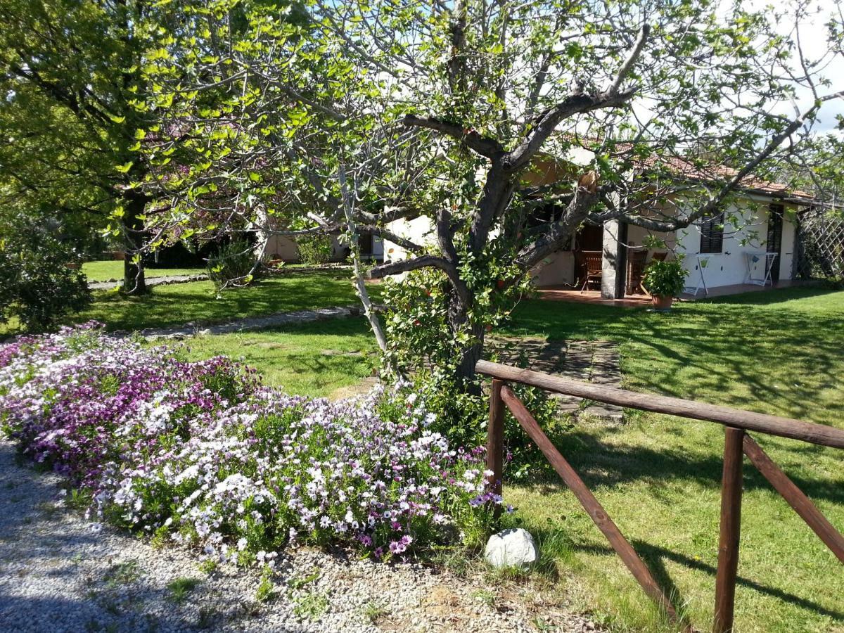 Agriturismo Sicomoro Villa Capalbio Buitenkant foto