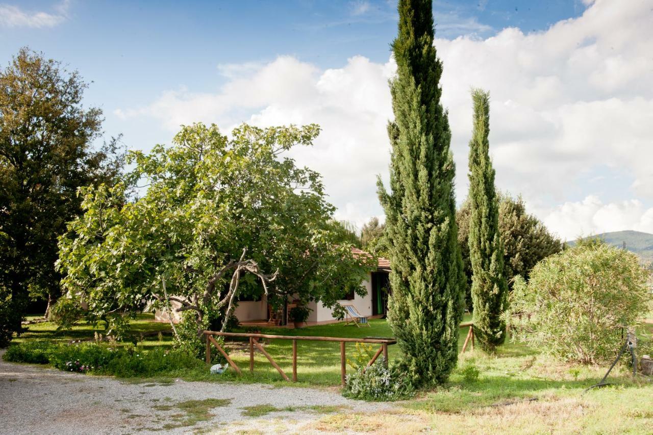 Agriturismo Sicomoro Villa Capalbio Buitenkant foto